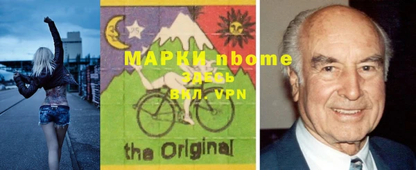 индика Алексин