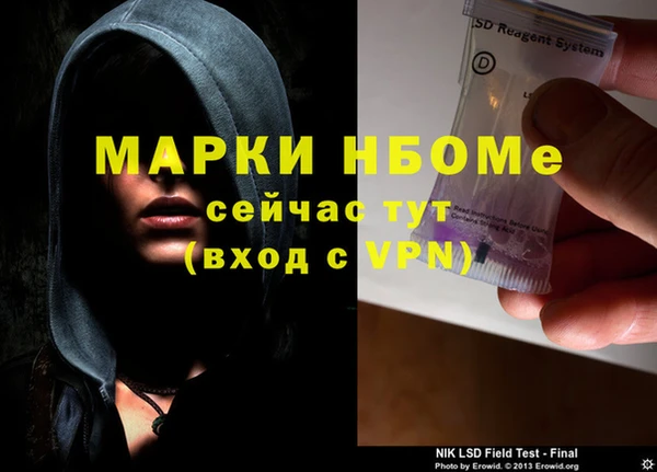 индика Алексин