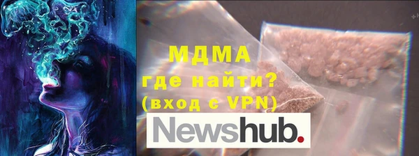 индика Алексин