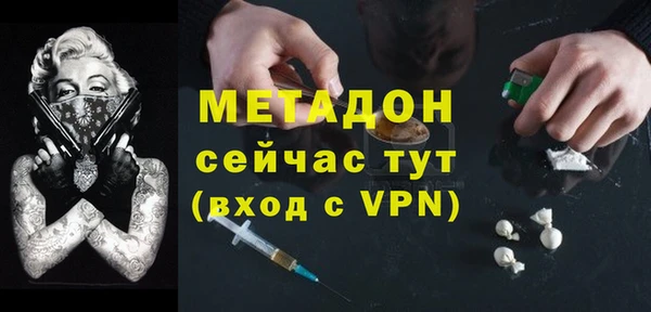 индика Алексин