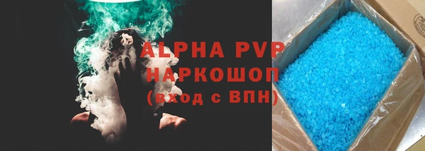 индика Алексин