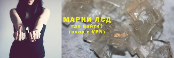 индика Алексин