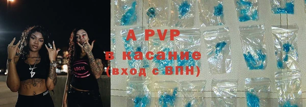 индика Алексин