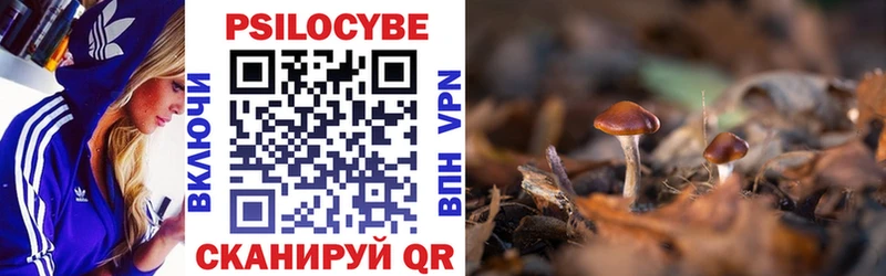 Галлюциногенные грибы MAGIC MUSHROOMS  купить   Новоульяновск 